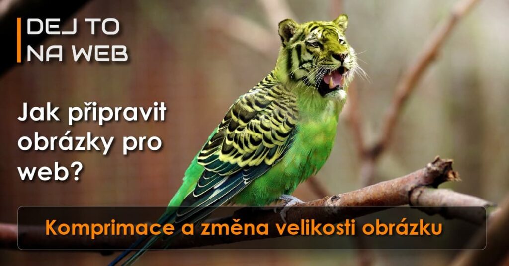 Jak připravit obrázky pro web?